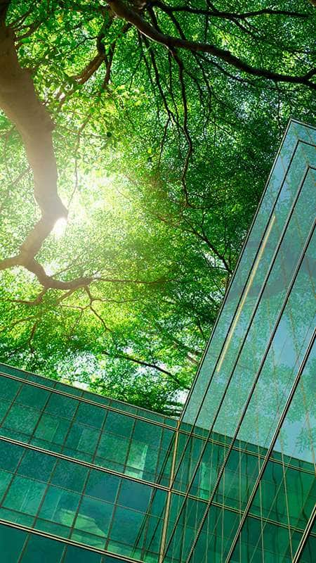 img_kone-sustainability-linked-loans_450x800